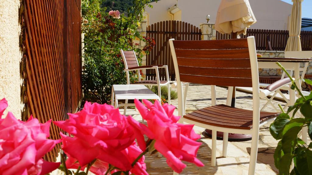 Villa Artemis Barbati Rum bild